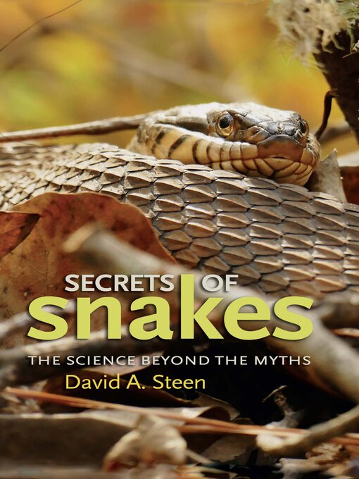 Cover image for Secrets of Snakes